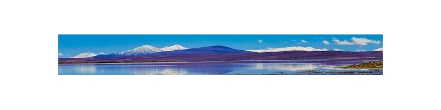 Commandez votre vin bolivien en ligne – Wines of Earth