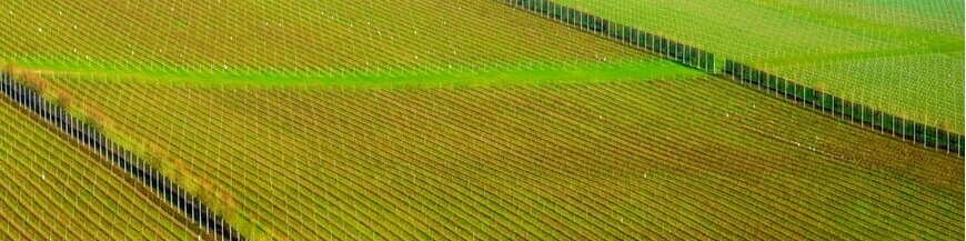 Commandez votre vin anglais en ligne – Wines of Earth