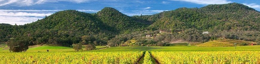 Commandez votre vin américain sur Internet