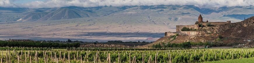 Commandez votre vin arménien sur Internet