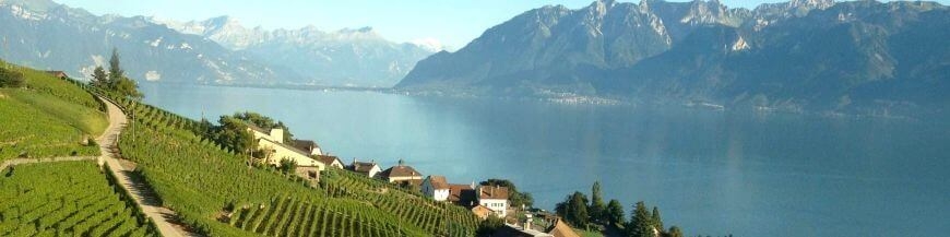 Commandez votre vin suisse sur Internet