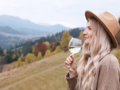 Petit guide des différents types de vin par mode de production