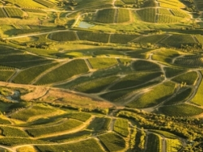 Dégustation de vins d'Amérique du Sud chez Wines of Earth