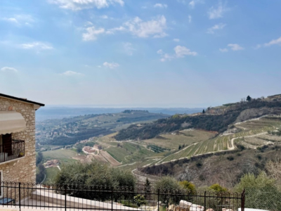 Comment est produit le Valpolicella Ripasso de Vénétie ?